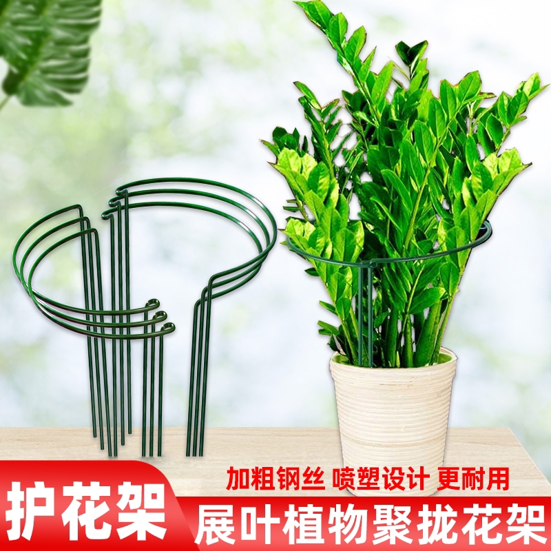 花支撑架金钱树植物固定花架护叶架龟背竹防倒伏虎皮兰护花支撑杆