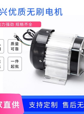 厂家直购48V500W直流无刷电机永磁载货电动机三轮车电机