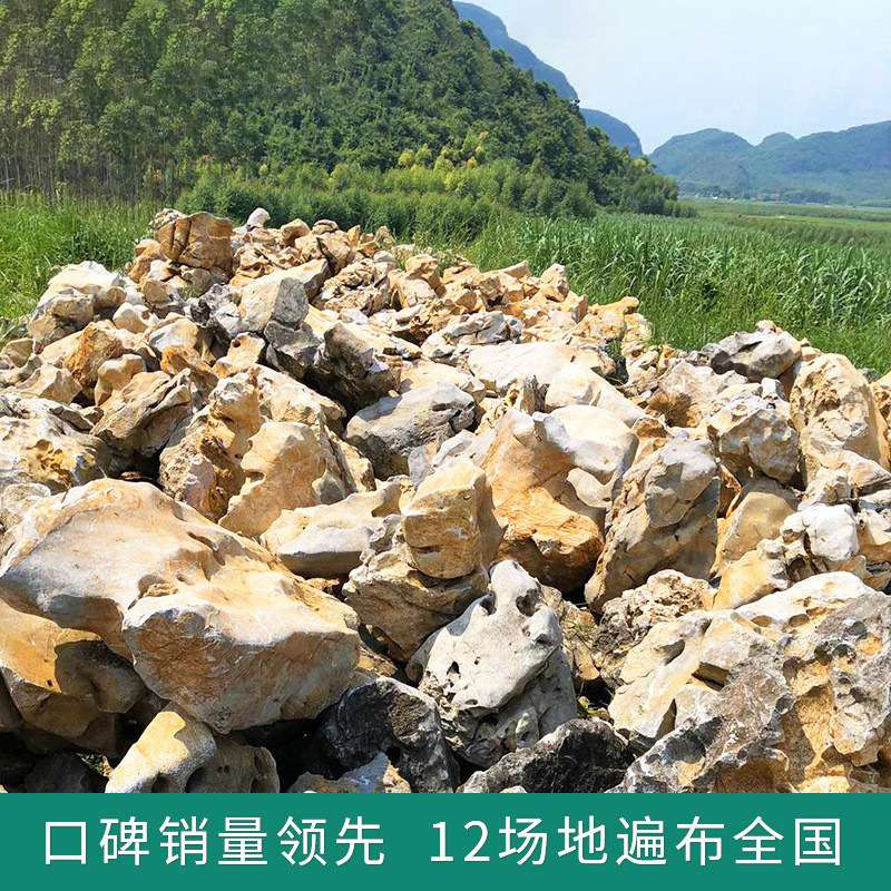 瘦皱漏透太湖石厂家直销园林石私家庭院奇石假山石