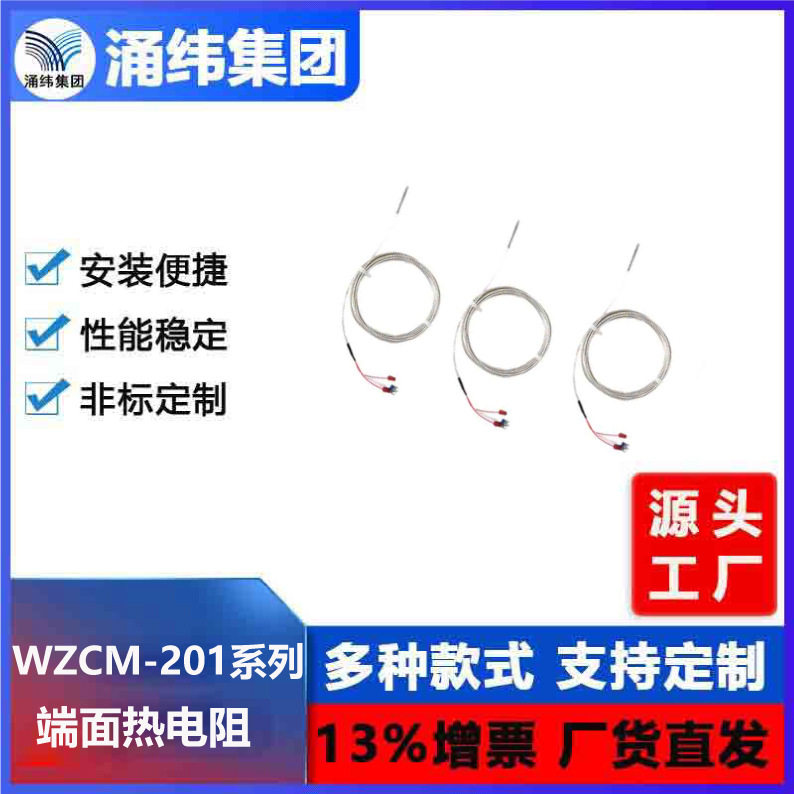涌纬集团--端面热电阻WZCM-201