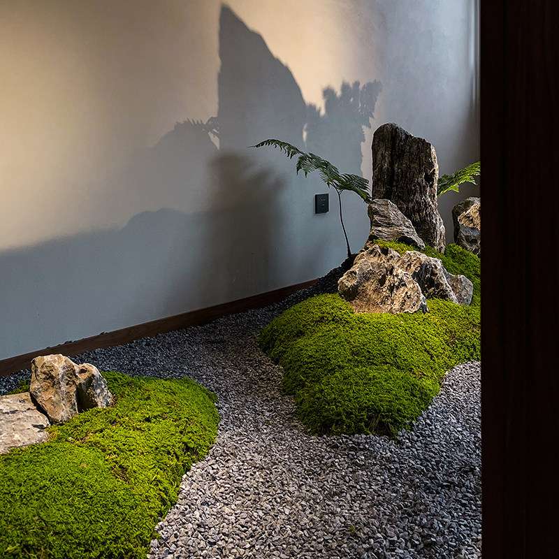 彷真马醉木绿植中式造景橱窗植物室内榕树装饰树大型假树简约景观