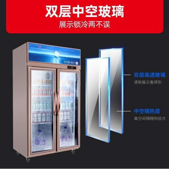 星星展示柜冷藏双门饮料冰柜商用便利店超市大容量立式啤酒保鲜柜