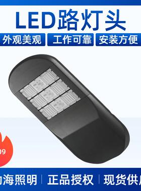 家销L厂D19路灯头新农村家用户外灯IUW道路照明60W1直00W150W2000