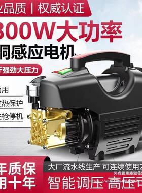 黑高压洗车用ERZ机家202V清洗机大功率全自动洗车猫便携式刷车泵