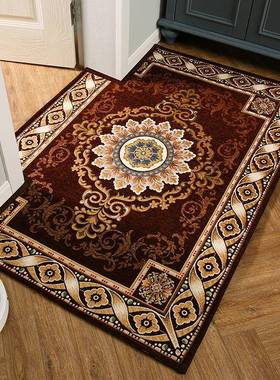 进门地地毯门垫入门吸水防户滑家垫用脚卧室客厅卫垫生OGJ间门口