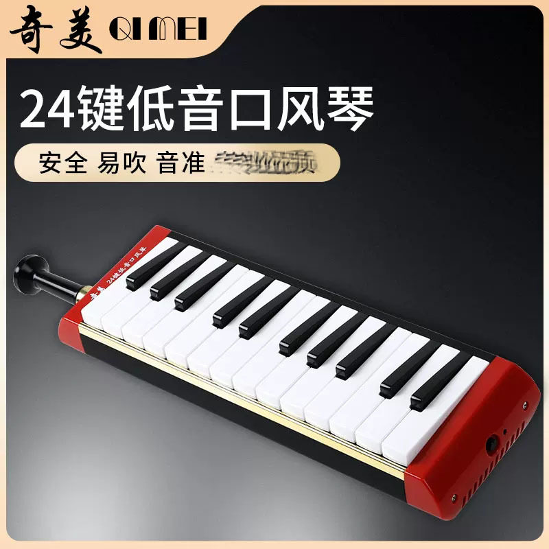奇美24键低音口风琴乐团演奏级