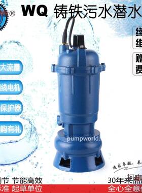 大元铸污水2泵家用化铁粪池沼气池排泵2TPI0V380V无堵塞污水麦太