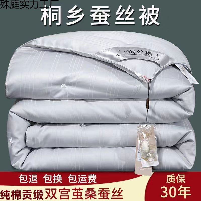 桐乡双宫桑蚕丝二合一子母被