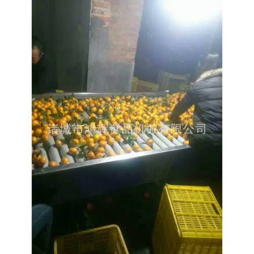 厂家现货红辣椒清洗机 胡椒花椒加工设备 小西红柿气泡清洗机