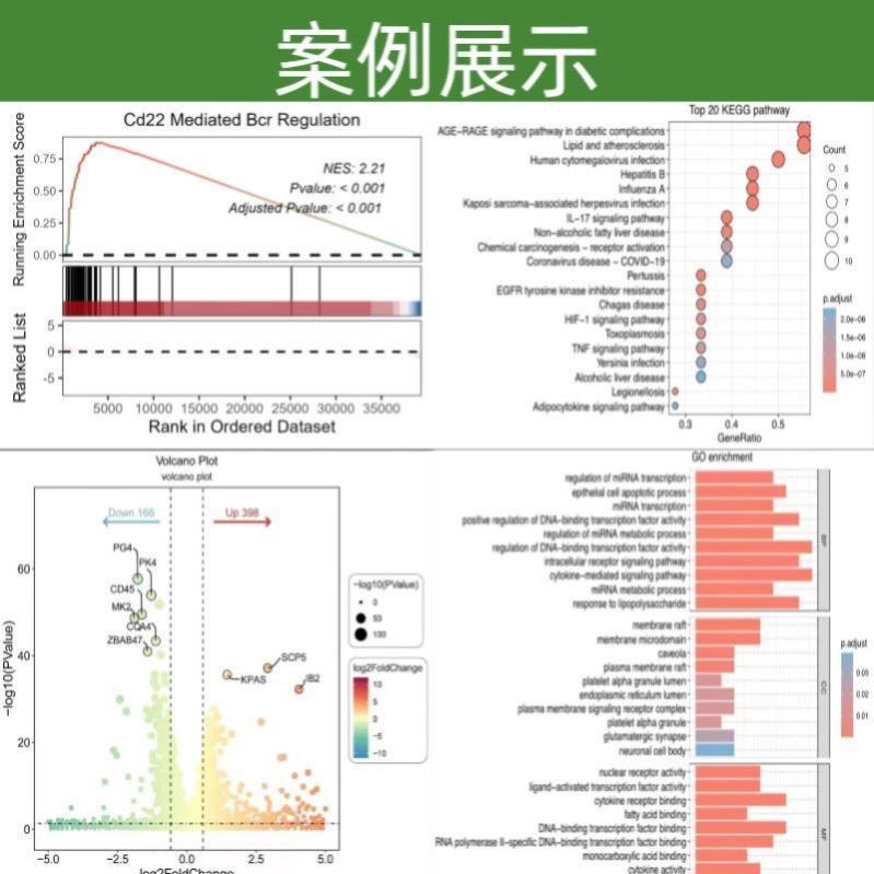 生信分析网络药理学分析TCGA GEO数据挖掘分子对接药物靶点