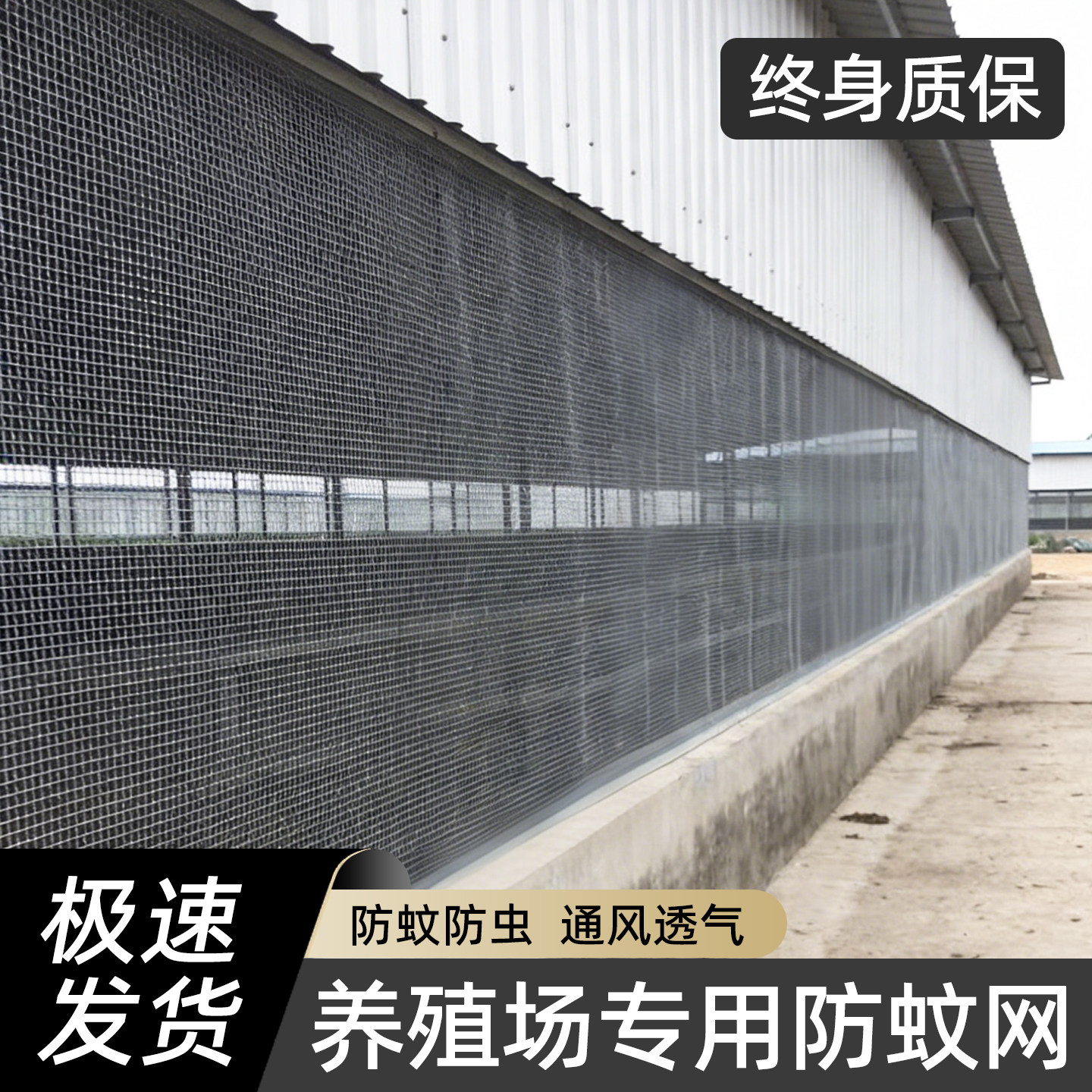 养殖场专用防蚊网大棚防虫网图片