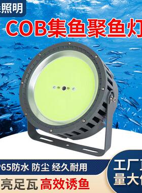 led集鱼灯钓鱼灯1000W1200W大功率渔船用捕鱼诱鱼灯探照灯强光