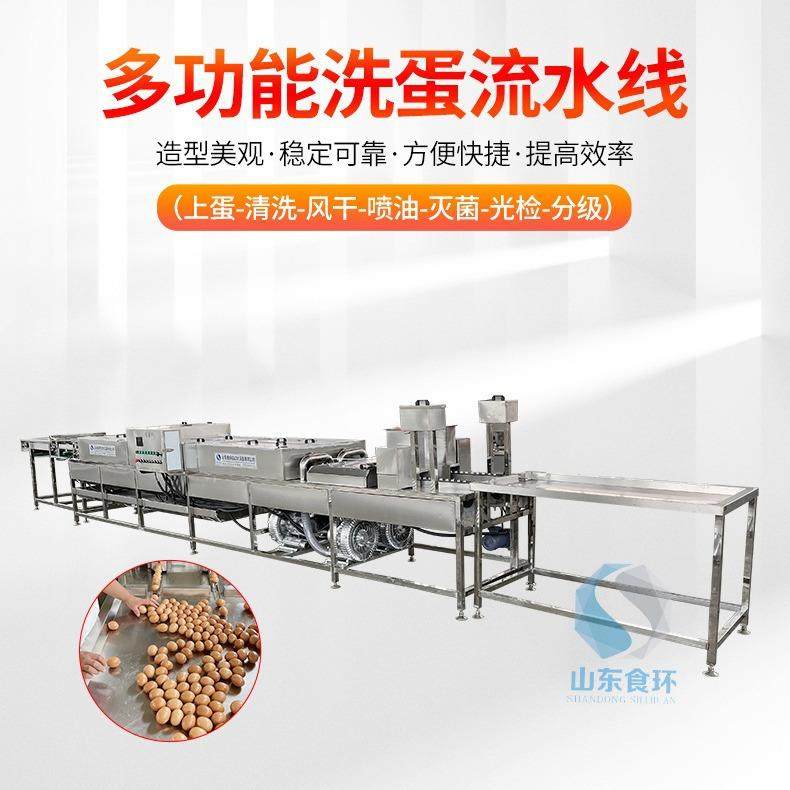 厂家供应洗蛋机养殖场鸡鸭蛋类大型清洗机商用单双排洗蛋机,清洗/食品/商业设备,其他食品加工设备,淘宝优惠券,粉丝福利购,淘宝优惠卷