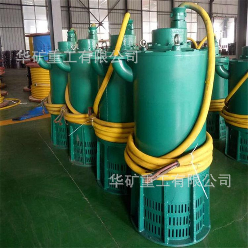 电力排灌隔爆型潜水电泵 BQ100-850/10-500/WS矿用隔爆型潜水电泵