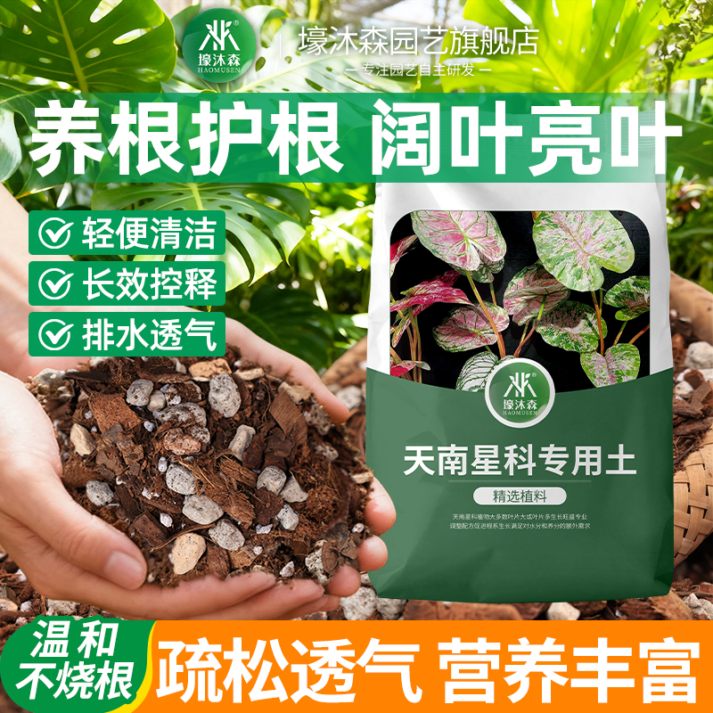 天南星科热植专用龟背竹营养土