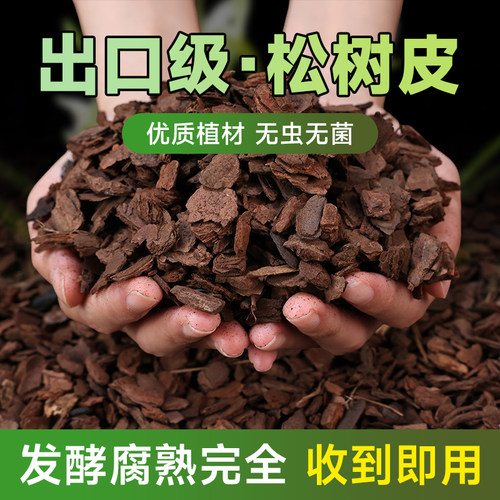 发酵腐熟松树皮厚肉质兰花专用