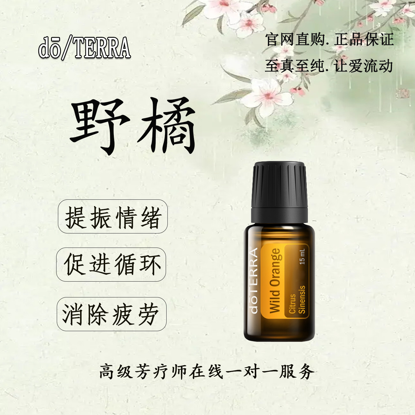 多特瑞野橘精油官网正品身心平衡提振情绪香薰按摩单方精油,美容护肤/美体/精油,单方精油,淘宝优惠券,粉丝福利购,淘宝优惠卷