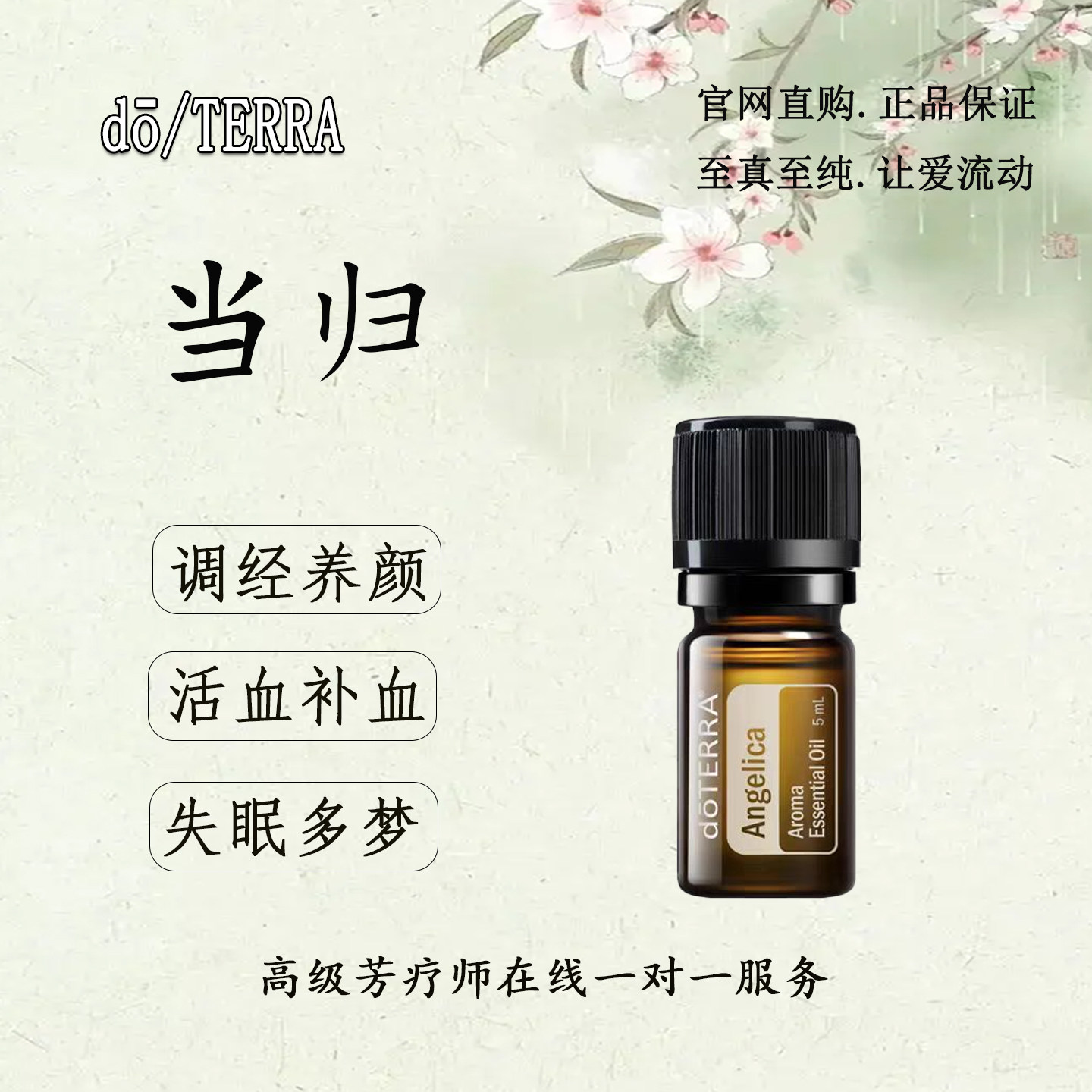 多特瑞当归精油调经养颜活