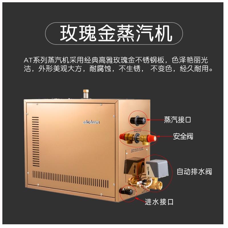 桑拿蒸汽机蒸汽发生器蒸神机熏蒸机stemagenerato湿601r家用汗蒸