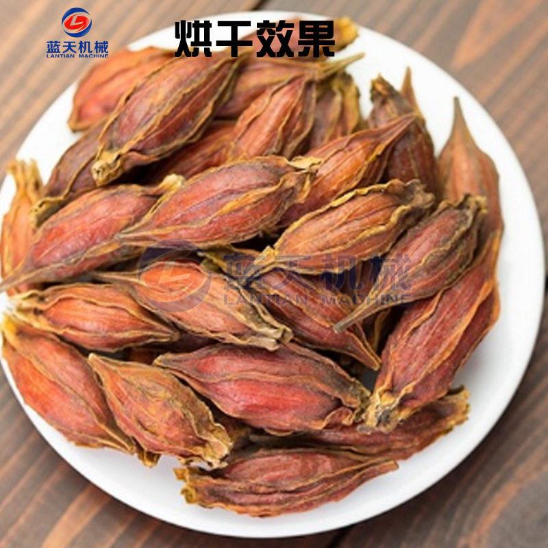 蓝全自动栀子烘干天机红子山栀子干箱山黄栀烘烘LT-ZZHGJ干栀设备