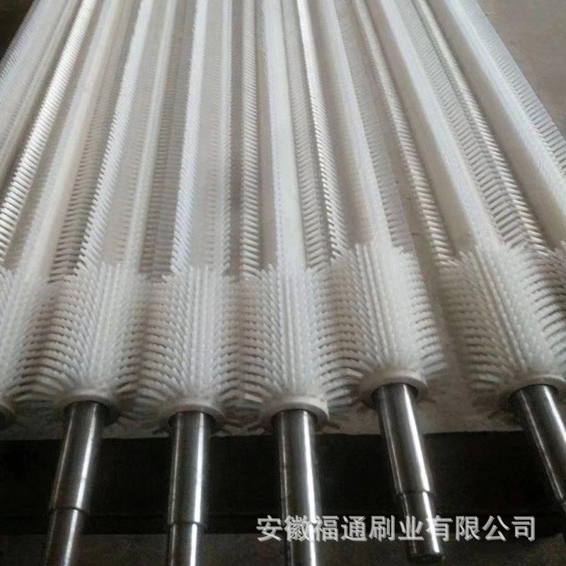 定制刷毛刷辊尼龙刷辊果卜蔬机核桃萝土豆DRU去皮清洗毛辊毛刷滚
