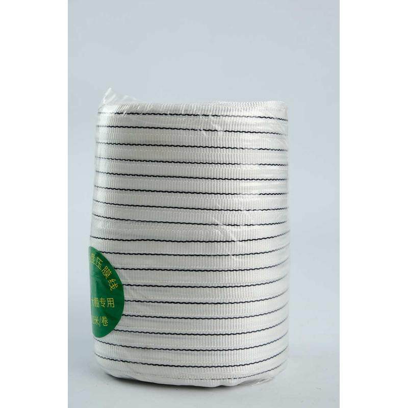 压膜线 压膜绳 压膜带 大棚配件葡萄棚白色绳带加厚抗老化 包邮,农机/农具/农膜,大棚压膜绳/压膜线,淘宝优惠券,粉丝福利购,淘宝优惠卷