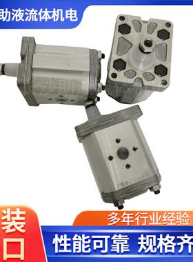 马祖奇反转齿轮泵ALP2-S-25压路机齿轮泵液压泵