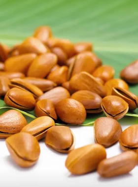 25年新货东北长白山手剥开口松子特大粒（800粒）