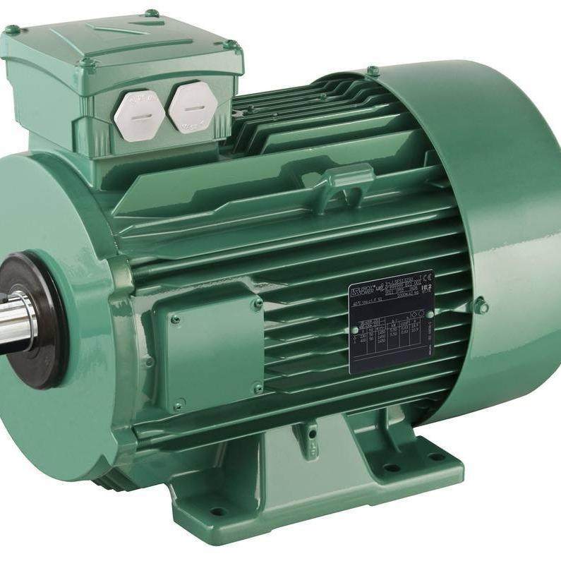 供应LEROY-SOMER电机原装LEROYSOMER电机利莱森玛马达LSES132MU