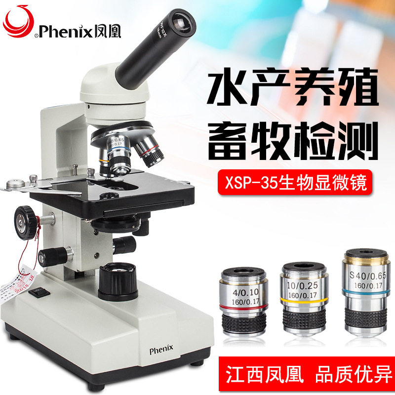 凤凰显微镜初中学校教学实验生物显微镜xsp-35-640倍学习科普