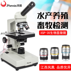 凤凰显微镜初中学校教学实验生物显微镜xsp-35-640倍学习科普