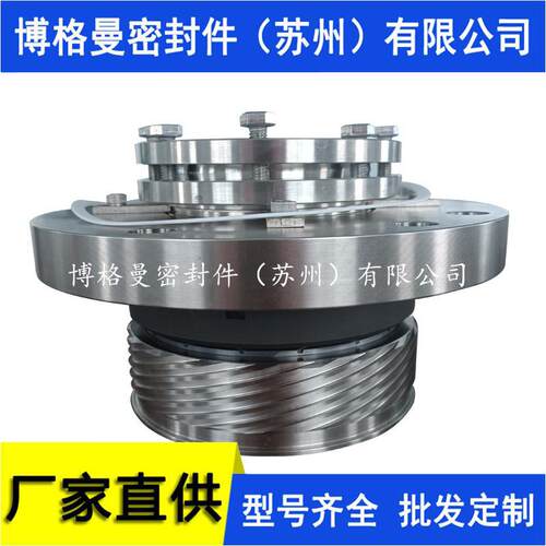 25-H75F2/115-E1000机械密封 NDE非驱动端发电站给水泵机械密封