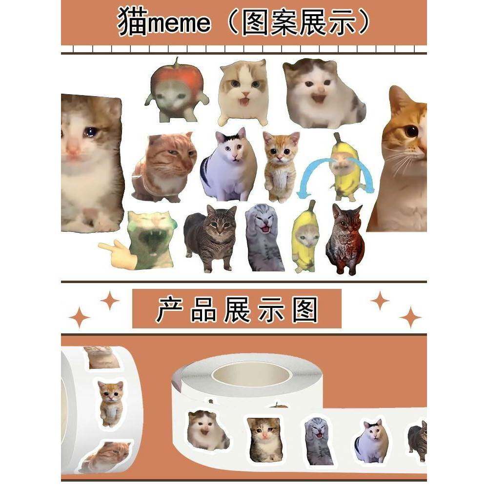1000贴猫meme热门表情包卷卷贴纸可爱搞怪趣味猫猫梗图diy
