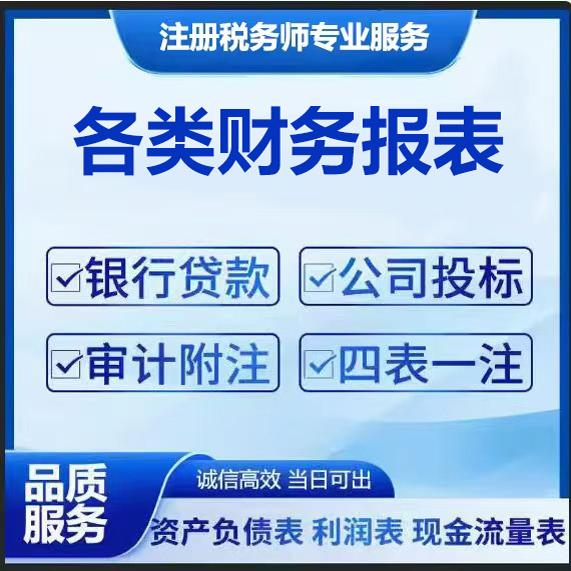 贷款报表Ex个税完税证明全套资料