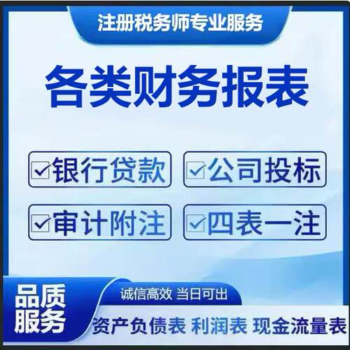 贷款报表Ex个税完税证明全套资料