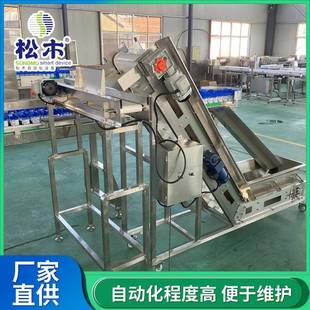 皮带输送机鸡翅中鸡爪提升机专为食品加工设计卫生标准严苛松