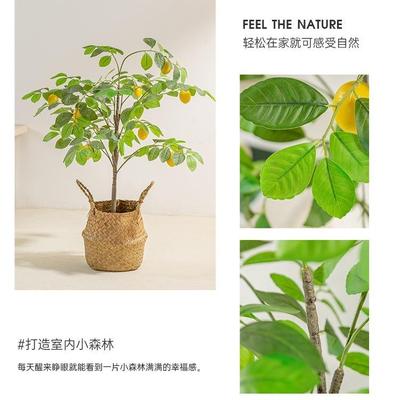 柠檬树仿真绿植高端轻奢假绿植服装店橱窗装饰仿生植物落地摆件花