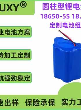 供应18.5V  21V 3Ah  18650圆柱锂电池 无线洗车机 应急电源电池