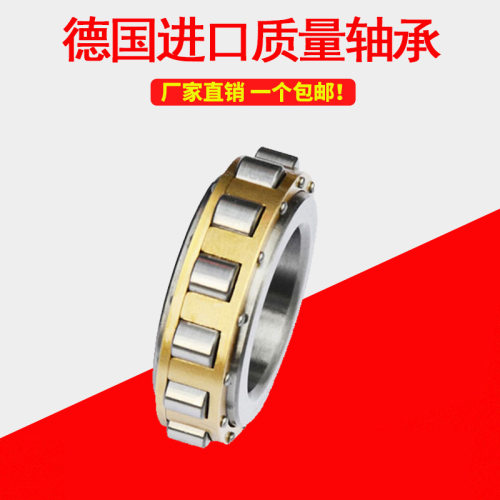 德国进口圆柱滚子轴承RN204 205 206 207 208 219 222 228EM