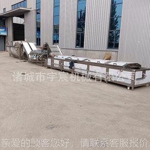 商用连酱续式油菜烫杀青机虾低温麦巴OMZ氏杀菌机梅干菜加漂工设