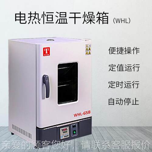 天津 WHL-65BE/H LL-L125BE立-式电热恒温干W燥箱