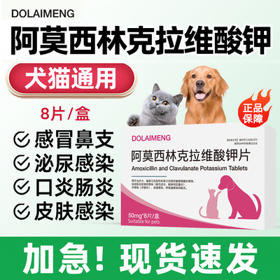阿莫西林克拉维酸钾抗菌消炎尿路感染猫咪宠物狗狗打喷嚏感冒咳嗽