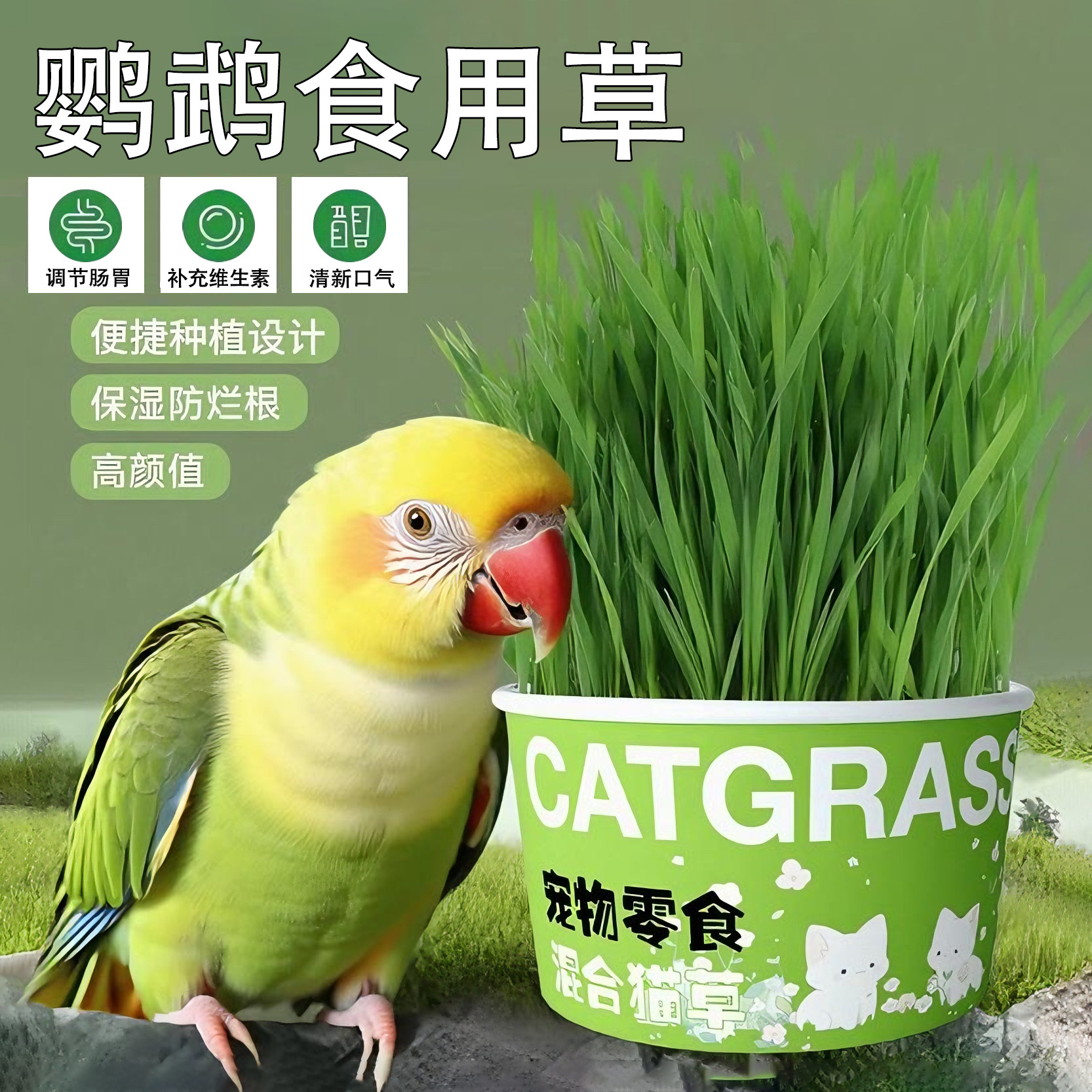 鹦鹉食用大麦草新鲜即食鸟零食调理肠胃清新口气鸟饲料啃咬猫草