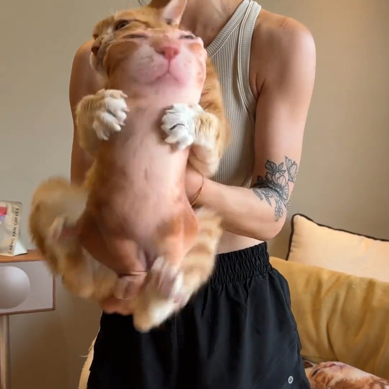 diy照片3d来图宠物枕头猫咪狗仿真玩具无白边丑猫抱枕玩偶定制