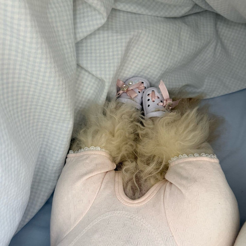 蝴蝶结斜口宠物猫咪狗狗小型迷你洞洞鞋可爱玩具拖鞋道具装饰品