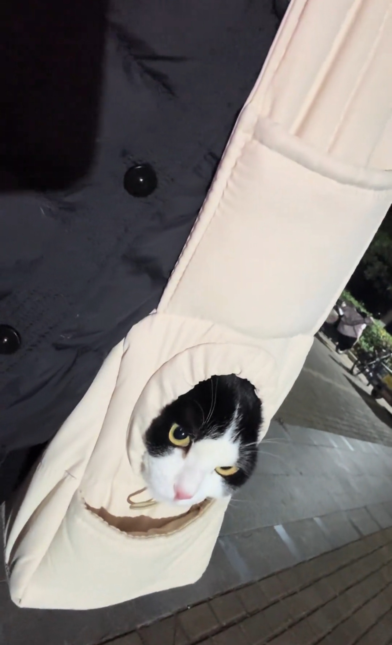 卡其色单肩背包猫咪保暖猫袋可露头猫咪冬小型犬猫包便携手提