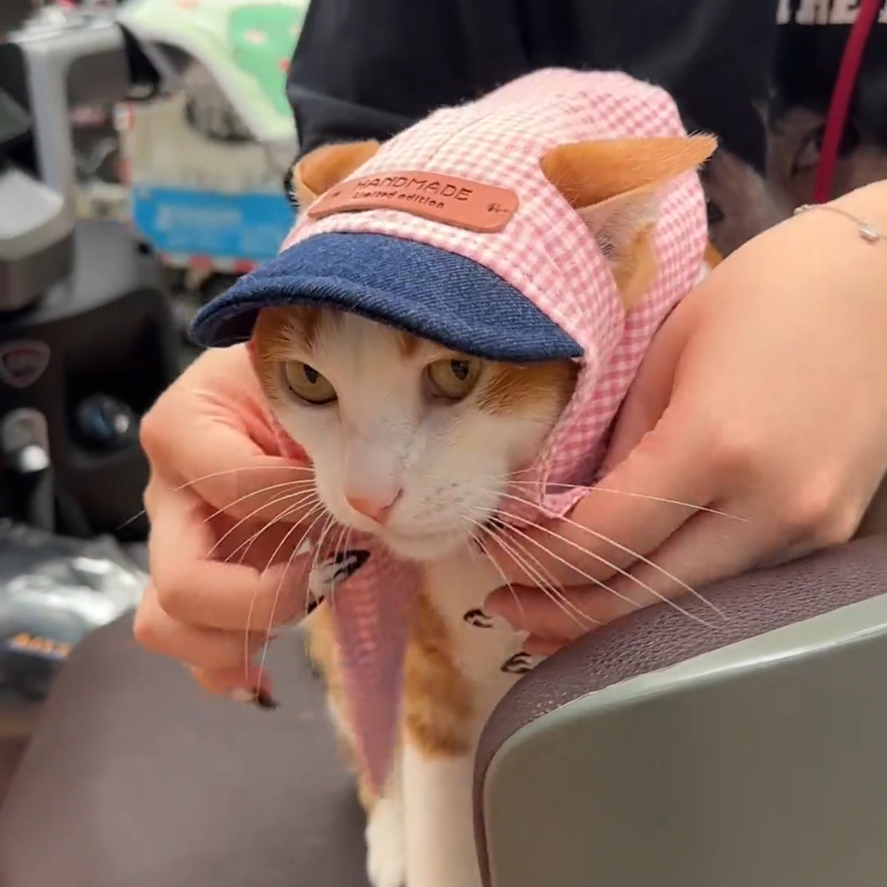 猫咪帽子新款2026宠物衣服韩系cos爱豆同款头巾遮阳防晒帽
