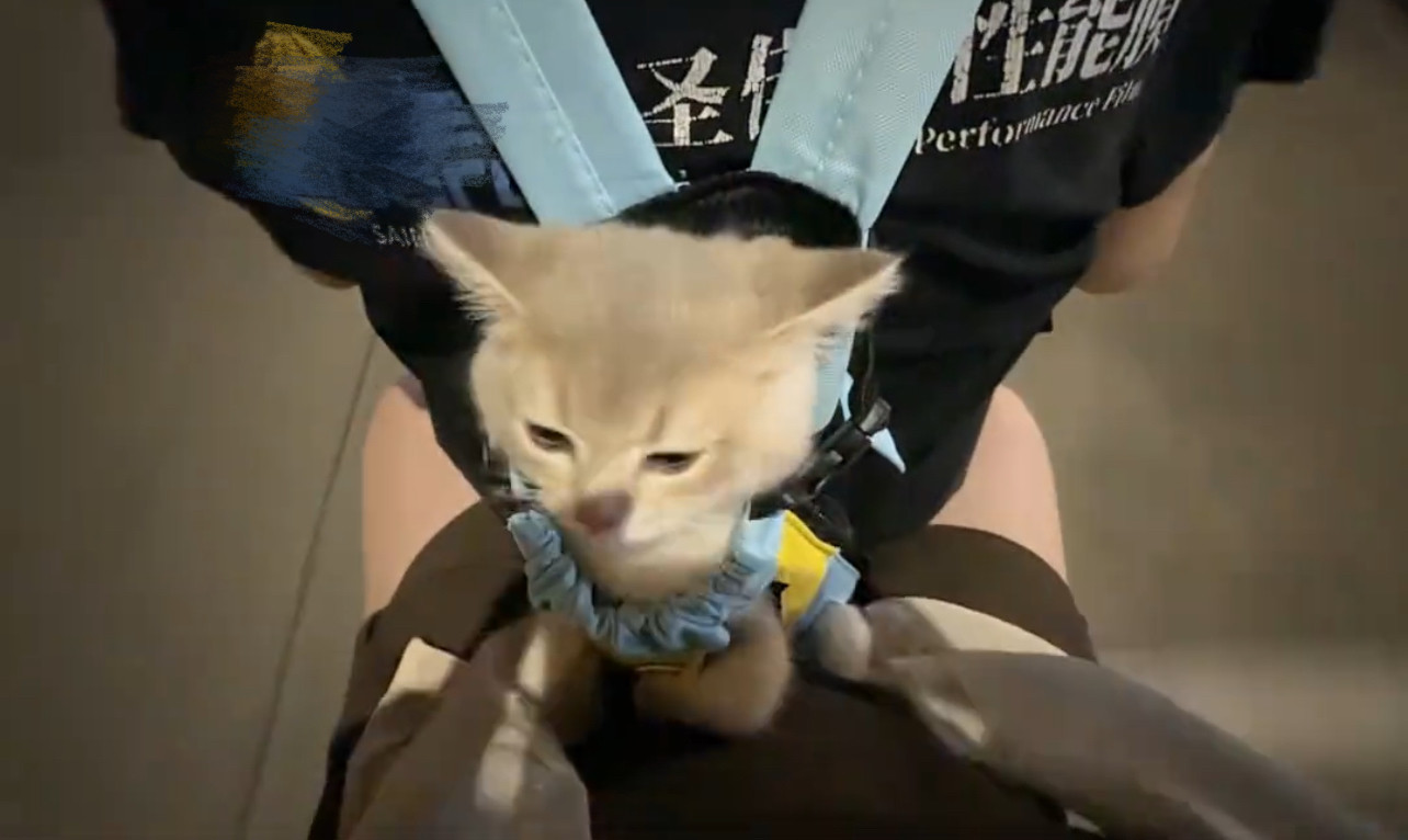 猫咪狗狗用具新款2026宠物外出双肩包便携胸背带神器小狗携带胸前