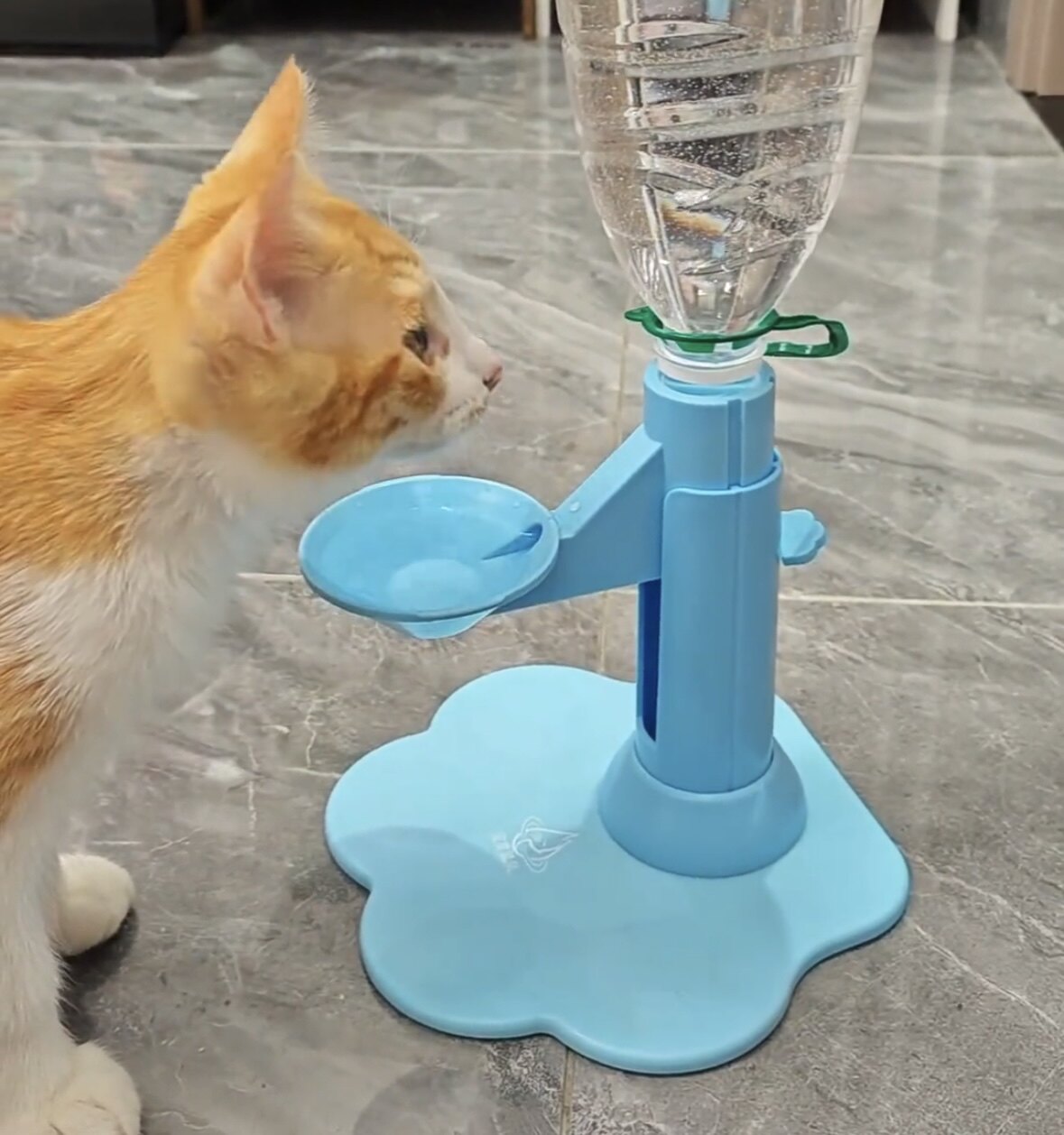 新品猫咪饮水机自动饮水机不插电免滤芯猫喝水神器可调节高度