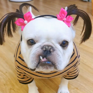 宝宝仿真假发头饰个性道具照发饰儿童假发辫子蝴蝶结发箍发带